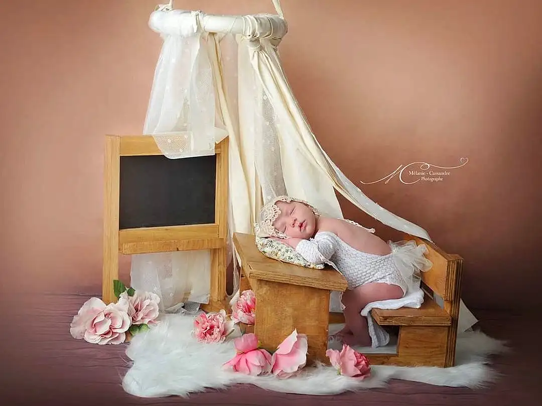 Rose, Dress, Bed, Gown, Infant Bed, Mosquito Net, Headwear