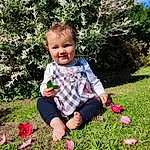 Sourire, Plante, People In Nature, Nature, Leaf, Fleur, Botany, Happy, Herbe, Baby & Toddler Clothing, Rose, Arbre, Ciel, Bambin, Petal, Groundcover, Summer, Shrub, Fun, Meadow, Personne, Joy
