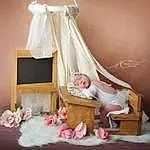 Rose, Dress, Bed, Gown, Infant Bed, Mosquito Net, Headwear