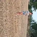 People In Nature, Arbre, Herbe, Bois, Wall, Plante, Recreation, Agriculture, Fun, Leisure, Trunk, Soil, Ciel, Hay, Happy, Straw, Field, Shadow, Concrete, Personne