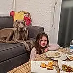 Nourriture, Tableware, Chien, Table, Plate, Carnivore, Couch, Comfort, Faon, Sharing, Race de chien, Chien de compagnie, Liver, Dog Supply, Chair, Dish, Cuisine, Event, Recipe, Personne