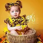 Sleeve, Baby & Toddler Clothing, Happy, Dress, Yellow, Flash Photography, Plante, Fleur, Bambin, Event, Cake, Jewellery, Sweetness, Assis, Enfant, Sugar Cake, Cake Decorating, Headpiece, Herbe, Flower Arranging, Personne