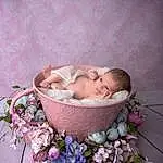 Fleur, Purple, Petal, Plante, Comfort, Baby, Rose, Infant Bed, Bathtub, Bathing, Linens, Baby Products, Happy, Herbe, Jouets, Bambin, Baby Sleeping, Flower Arranging, Assis, Magenta, Personne