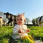 Ciel, Plante, People In Nature, Herbe, Happy, Baby & Toddler Clothing, Grassland, Arbre, Bambin, Baby, Rural Area, Meadow, Fun, Landscape, Working Animal, Prairie, Dairy Cow, Personne