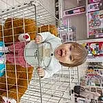 Sourire, Shelf, Building, Pet Supply, Shelving, Bambin, Mesh, Retail, Cage, Baby, Room, House, Animal Shelter, Jouets, Art, Baby Products, Enfant, Bird Supply, Baby Toys, Personne, Blurred