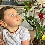 Plante, Flowerpot, Houseplant, Fleur, Sourire, Terrestrial Plant, Happy, Flowering Plant, Bambin, Bell Peppers And Chili Peppers, T-shirt, Floristry, Soil, Chili Pepper, Nightshade Family, Floral Design, Herb, Local Food, Plant Stem, Garden, Personne