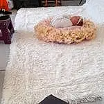 Table, Meubles, Blanc, Tablecloth, Decoration, Orange, Textile, Chair, Interior Design, Couch, Grey, Comfort, Bois, Cuisine, Linens, Dish, Living Room, Bed Frame