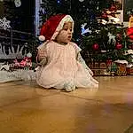 Christmas Tree, Plante, Christmas Ornament, Light, Lighting, Arbre, Holiday Ornament, Christmas Decoration, Ornament, Bambin, NoÃ«l, FenÃªtre, Holiday, Event, Fun, Happy, Interior Design, Hiver, Room, Carmine, Personne, Surprise, Headwear