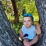 Yeux, People In Nature, Plante, Arbre, Leaf, Botany, Azure, Natural Environment, Branch, Bois, Baby & Toddler Clothing, Flash Photography, Happy, Herbe, Baby, Bambin, Twig, Woody Plant, Leisure, Trunk, Personne