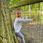Sourire, Plante, People In Nature, Fence, Botany, Debout, Happy, Arbre, Herbe, Bambin, Leisure, Recreation, Trunk, Fun, Mesh, Bois, Wire Fencing, Enfant, Forêt, Spring, Personne, Joy