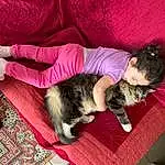 Shoe, Comfort, Rose, Carnivore, Felidae, Faon, Chien de compagnie, Chat, Thigh, Small To Medium-sized Cats, Lap, Human Leg, Magenta, Race de chien, Poil, Assis, Linens, Sieste, Canidae