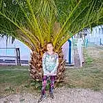 Plante, Leaf, Botany, Arbre, Arecales, People In Nature, Leisure, Woody Plant, Terrestrial Plant, Voyages, Herbe, Outdoor Furniture, Fun, Palm Tree, Tropics, Vacation, Tourism, Attalea Speciosa, Bench, Caribbean, Personne, Joy